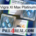 Vigra Xl Max Platinum viagra5